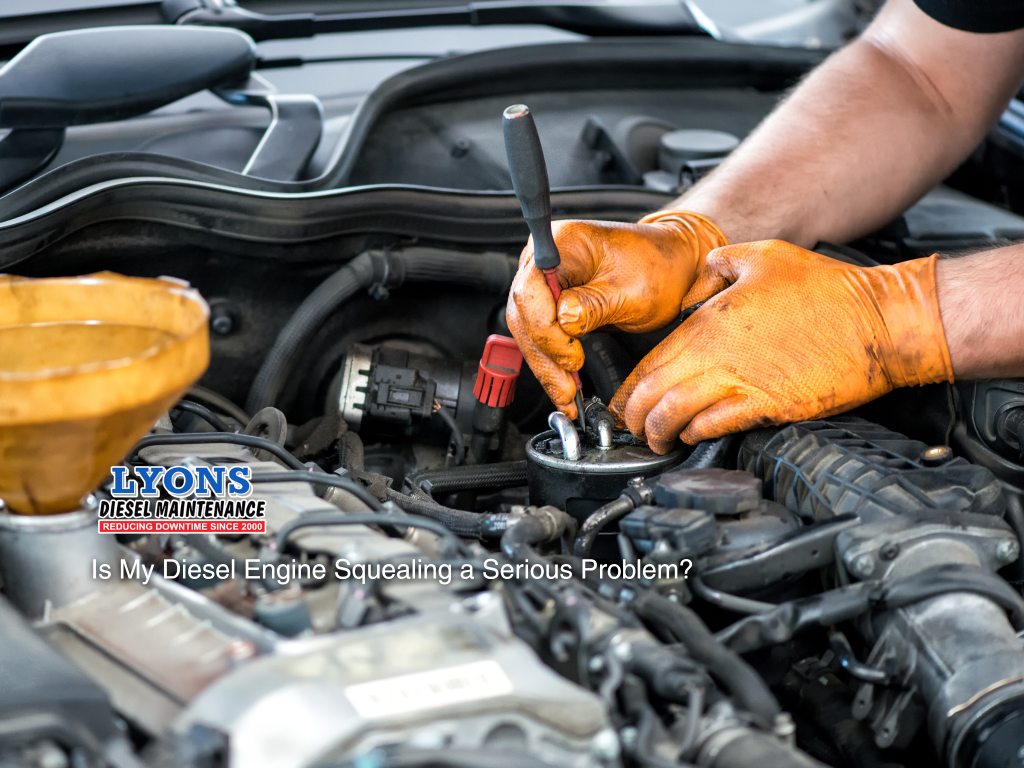 Technician checking engine components to identify cause of high pitched squealing noise in diesel vehicle
